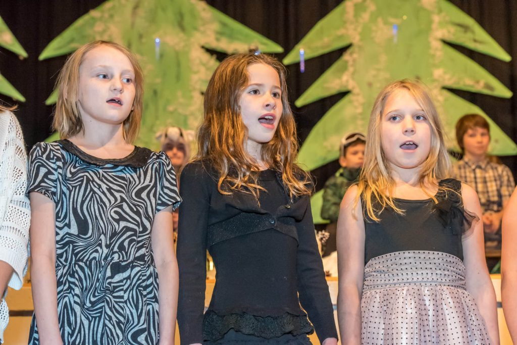 These girls were singing Cruchy Snow and Swoosh1 with the Grades 1 and 2 classes during Snowtastic. From left are Charlize Marshall, Sophia McCabe and Kaitlyn Hillson. (Richard McGuire photo)