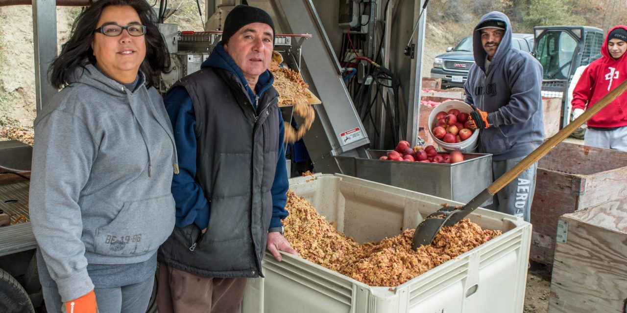 Local couple makes cider to support rural lifestyle