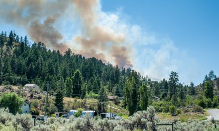 Thick smoke from U.S. hampers efforts to fight local fires