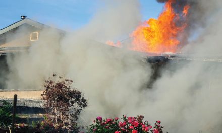 Warm, dry spring may bring bad wildfire season