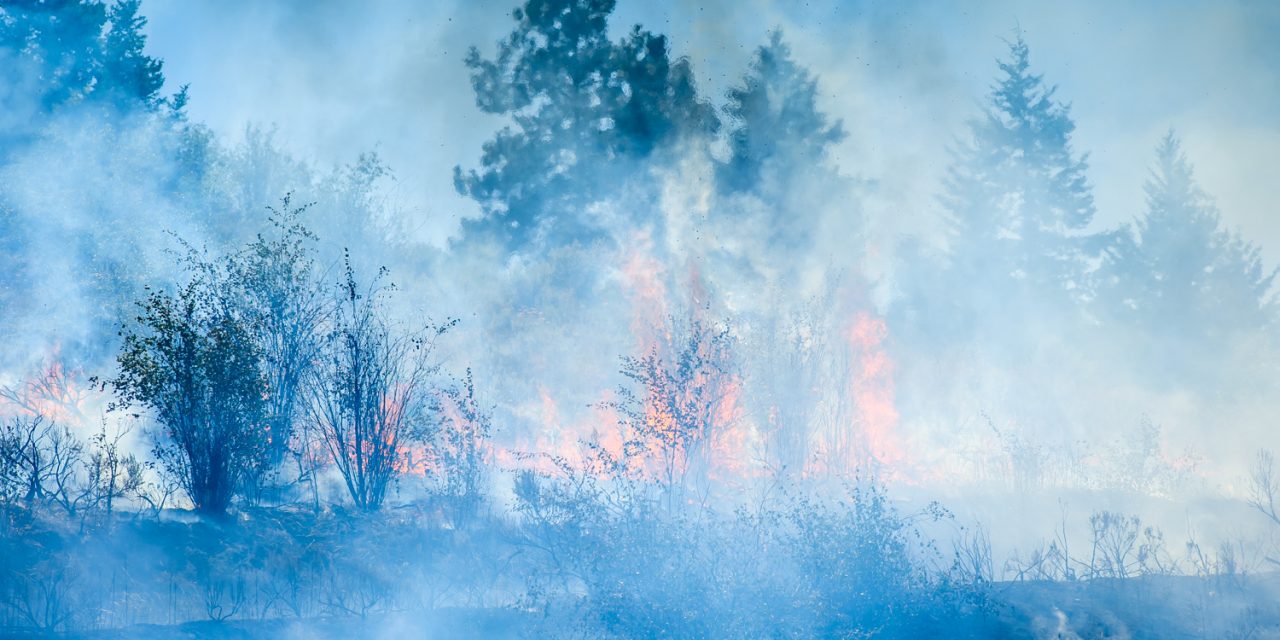 Wildfires burn to north and south; campfires banned TimesChronicle.ca