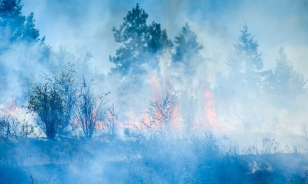 Wildfires burn to north and south; campfires banned