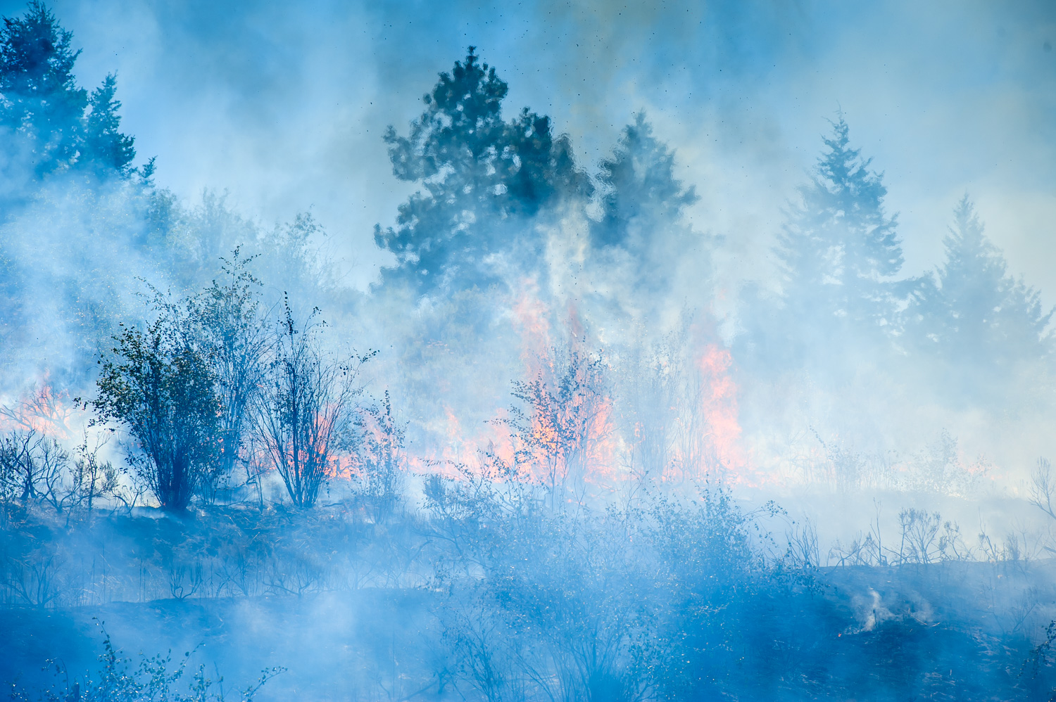 A fire and thick smoke enshroud vegetation off Old Richter Pass Road Wednesday afternoon, July 9. The fire was believed to have been started with a cigarette. (Richard McGuire photo)