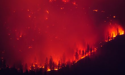 Open fire ban now in effect across area in B.C. Parks, Crown land and private property