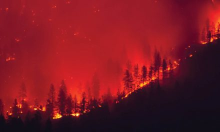 New human-caused wildfire east of Osoyoos Lake angers mayor, residents