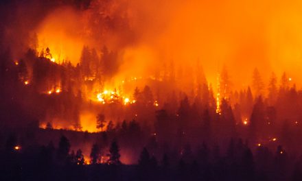 Osoyoos Today: Open fire ban goes into effect Sunday