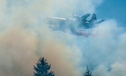 Rain provided lull, but higher fire risk returning