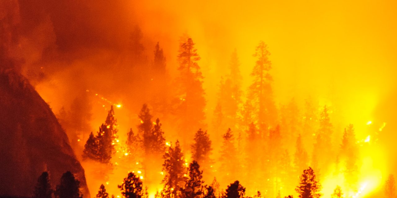 Controlled burn on Osoyoos Indian Band land didn’t pose fire threat