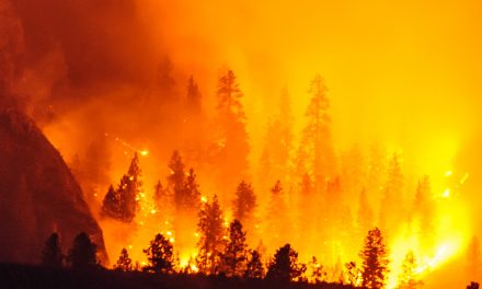 Controlled burn on Osoyoos Indian Band land didn’t pose fire threat