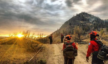 Eagle Bluff fire now ‘held’ and not expected to grow