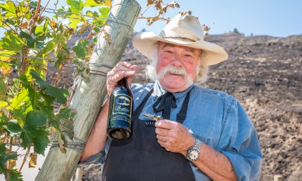 Small wineries can benefit from wine industry acquisitions