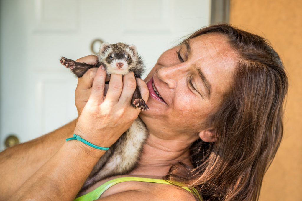 Krista Miller plays with her pet ferret, Houdini. She feared Houdini was gone forever when her apartment burned recently, causing her to lose almost everything. She had no insurance. (Richard McGuire photo)