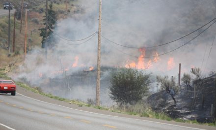 INVESTIGATION FINDS THAT SPOTTED LAKE FIRE DEFINITELY HUMAN CAUSED