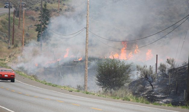 INVESTIGATION FINDS THAT SPOTTED LAKE FIRE DEFINITELY HUMAN CAUSED