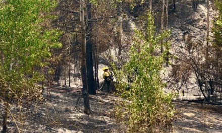 UPDATE: Cause of fire under investigation, crews continue mop-up
