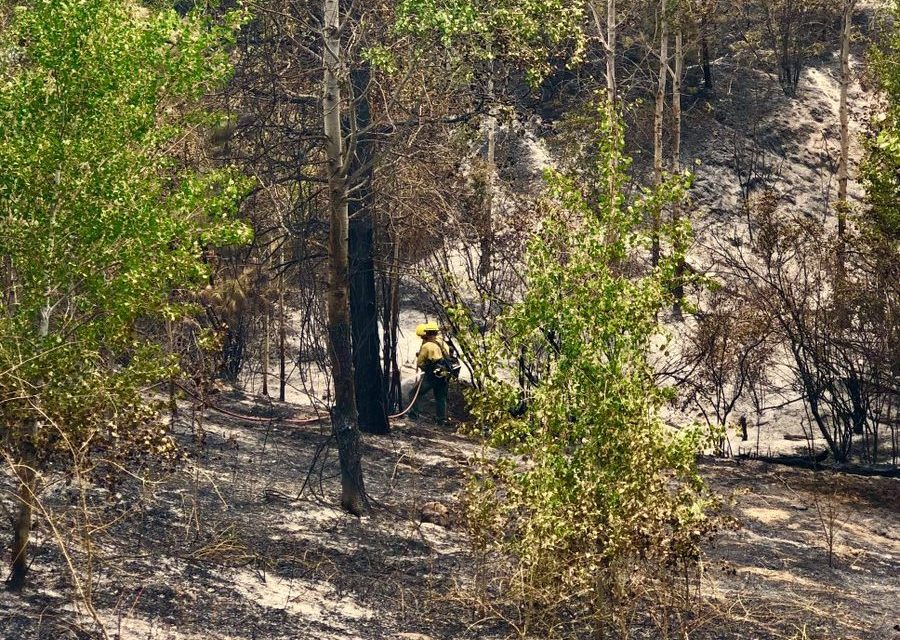 UPDATE: Cause of fire under investigation, crews continue mop-up