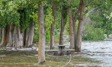 Extreme conditions that caused flooding now diminishing, but Okanagan snowpack still exceptionally high