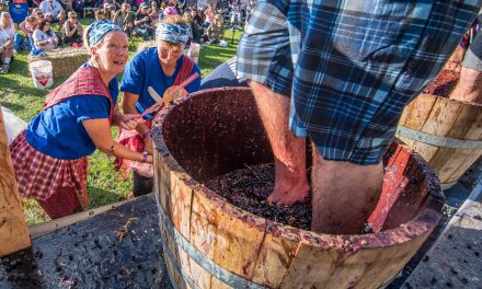 Baldy Marathon pairs with Festival of the Grape for unique running event