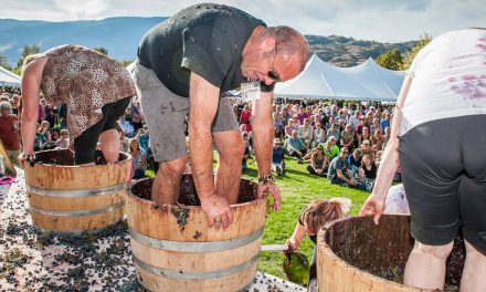 Popular Festival of the Grape promises to attract thousands again this weekend