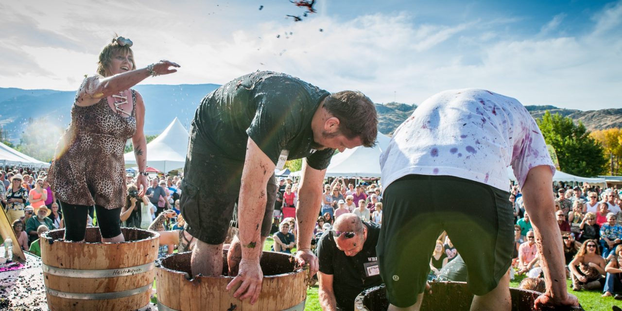 Festival of the Grape is nothing to wine about