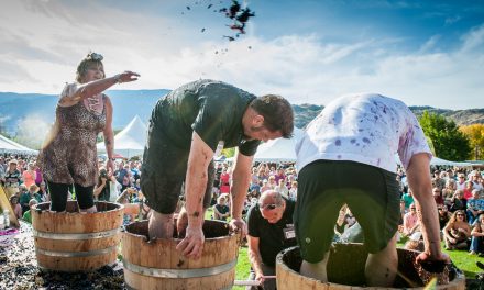 Festival of the Grape is nothing to wine about