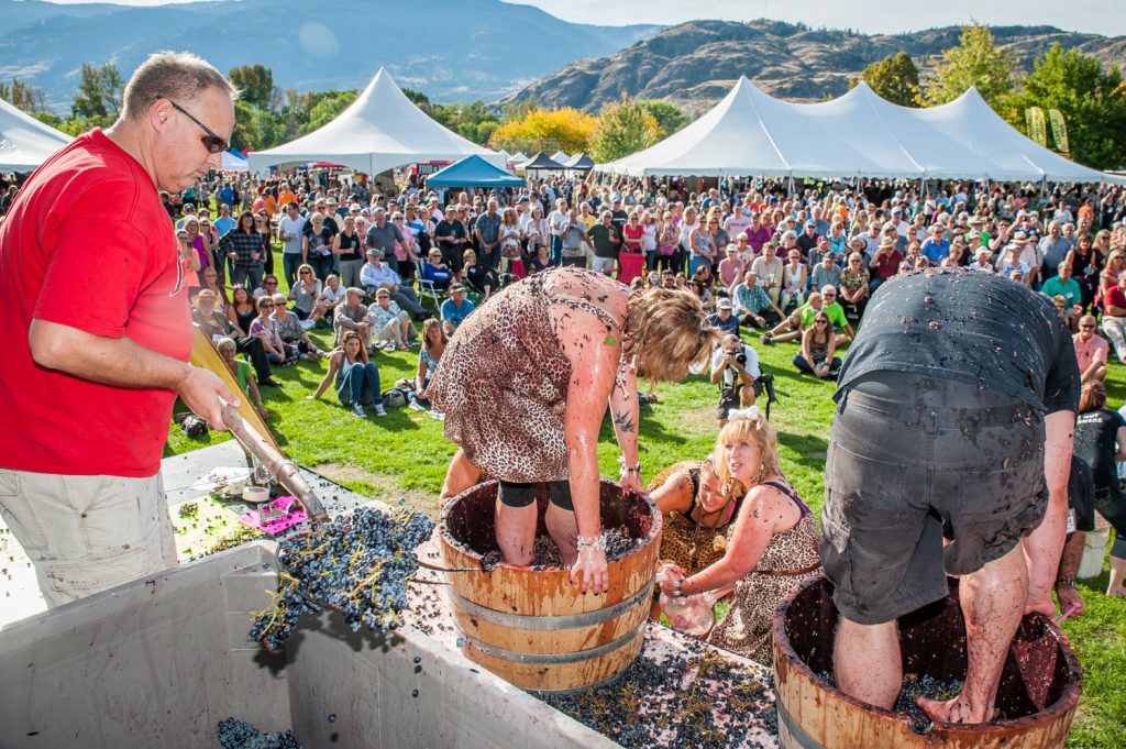 Grape stomp
