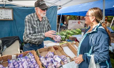Garlic Festival at Hester Creek attracts fine food lovers