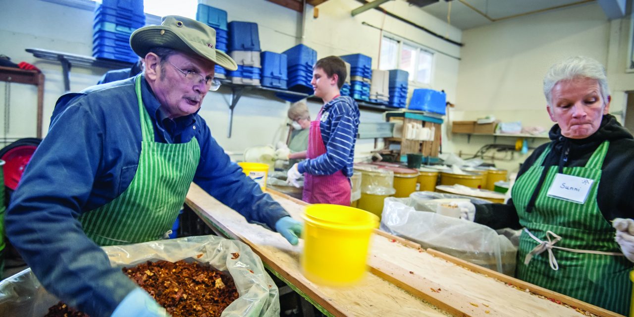 OKANAGAN GLEANERS PACK SURPLUS GOOD TO HELP FEED THE WORLD'S HUNGRY