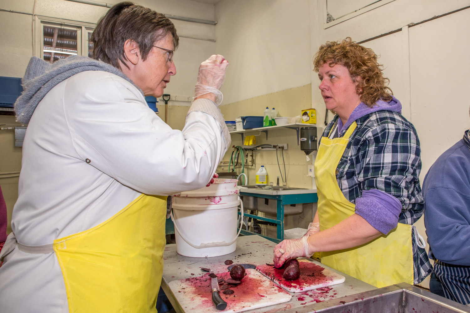 Brenda Saul (left) of Osoyoos, the wife of Okanagan Gleaners board member Bill Saul, chats with Carolyn Ellis of Oliver as the two of them slice beets. (Richard McGuire photo)