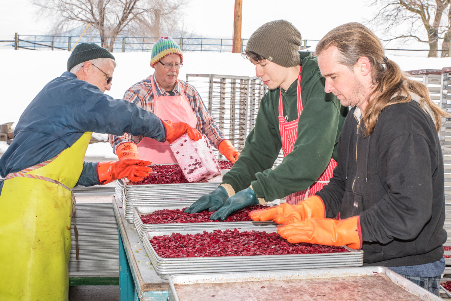 Volunteers work on beets to prepare them for drying at the Okanagan Gleaners. Second from left is manager Greg Masson. (Richard McGuire photo)