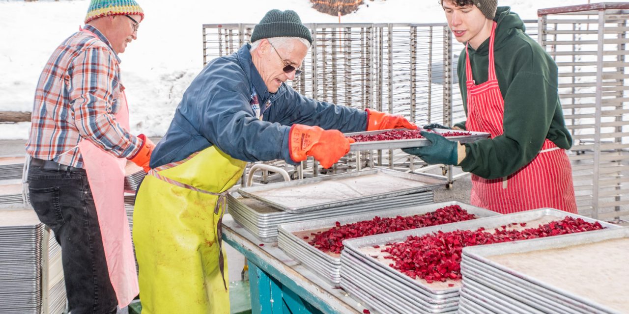 Okanagan Gleaners save food from waste to feed world’s hungry millions