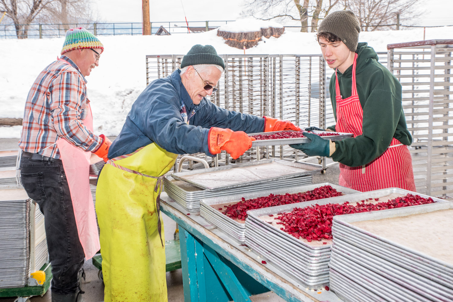 Manager Greg Masson calls it the best-kept secret in the valley, but all year round volunteers are busy at the Okanagan Gleaners between Osoyoos and Oliver turning surplus food into dried soup that gets sent around the world to feed the hungry. After hearing Bill Saul, a volunteer and director with the Gleaners, speak to the Rotary Club of Osoyoos about the interdenominational Christian project’s work, we stopped by to see them on Friday as they worked on beets and green beans. Pictured here, Ken Richardson of Oliver (centre) and Ian Jackson of Osoyoos (right) prepare beets for drying on trays. At left in the background is Masson. (Richard McGuire photo)