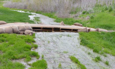 Rise in temperatures to bring runoff