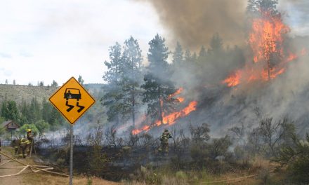Crews snuff out Oliver Wildfire