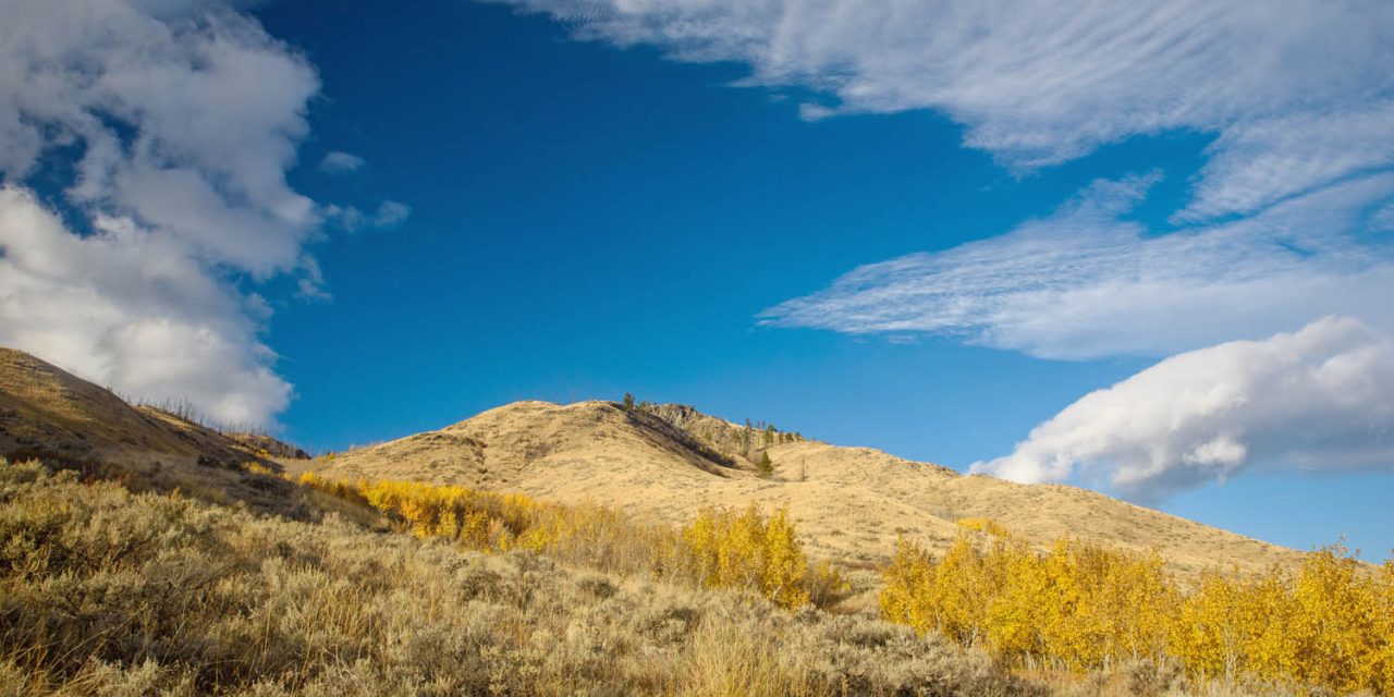 Opinion: Grasslands are world’s most endangered ecosystem