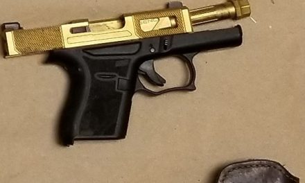Gun, drugs discovered following alleged domestic assault in Oliver