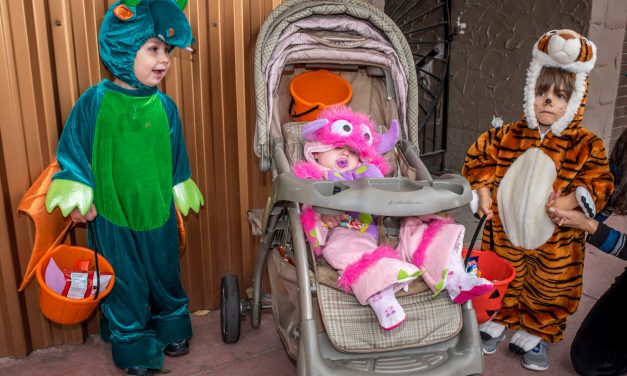Spook-tacular local Halloween events planned