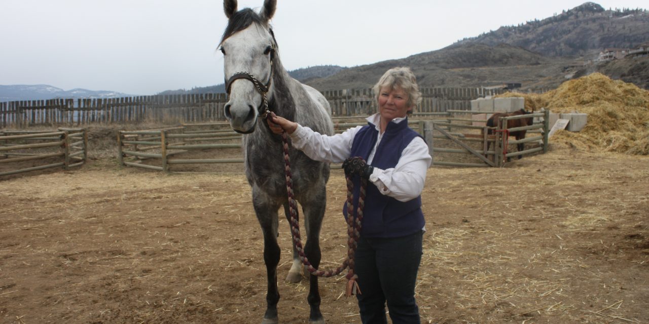 2011 CANADIAN DERBY CHAMPION AND TRAINER RETURN TO OSOYOOS AND DESERT PARK