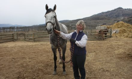 2011 CANADIAN DERBY CHAMPION AND TRAINER RETURN TO OSOYOOS AND DESERT PARK