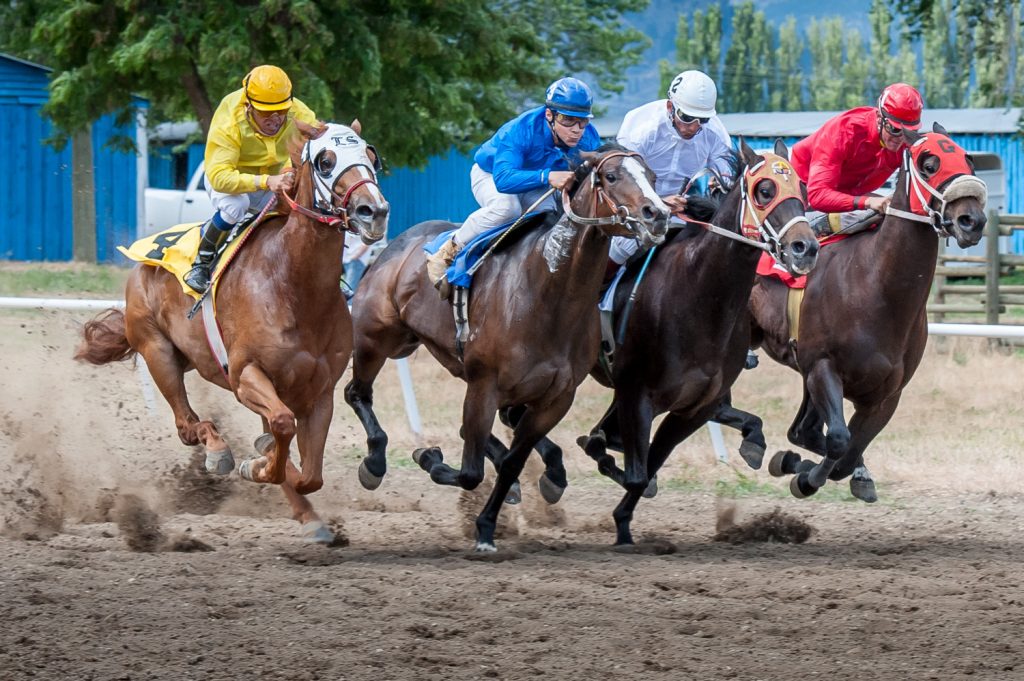 Four of five horses race side-by-side down the track in the fourth race, a quarter horse allowance. (Richard McGuire photo)