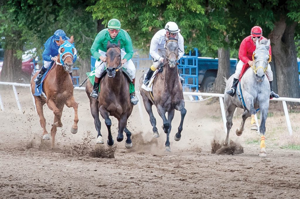 Town of Osoyoos council has voted to delay signing a new lease with the Desert Park Exhibition Society after the society had asked for an exemption to the town's Good Neighbour noise bylaw. Council heard one complaint had been filed about the noise caused by a diesel-powered water truck at the racetrack facility. Council will revisit this issue in early December. (File Photo).
