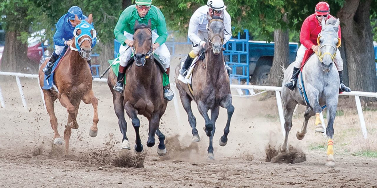 Town delays extending lease with Desert Park Exhibition Society following debate over noise bylaw