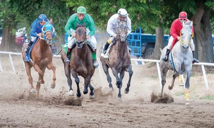 Horse racing dates at Desert Park now confirmed