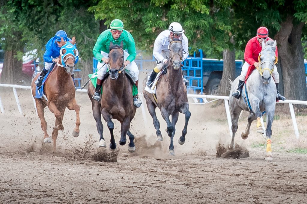 The fifth and final race was the longest of all at six and a half furlongs and featured thoroughbreds. (Richard McGuire photo)