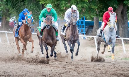 Race attendance tops 820 despite shortage of horses and jockeys