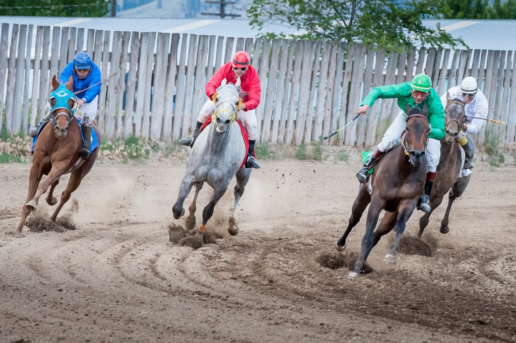 Lil Miss Bean, No. 5, second from right, maintains her lead rounding the final bend of the fifth race. She went on to win. (Richard McGuire photo)