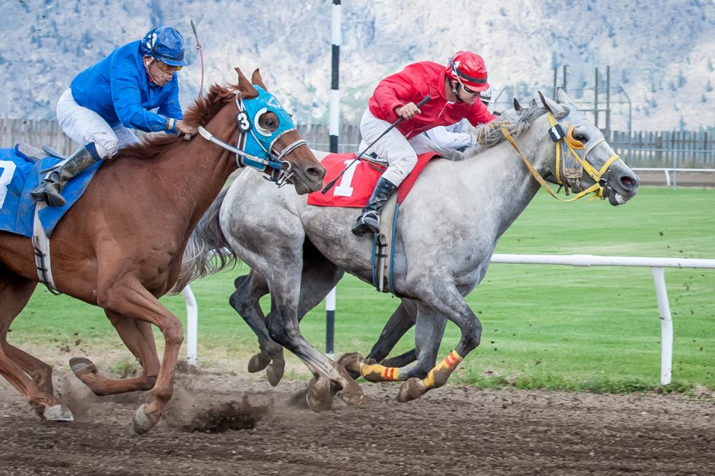 Silent Punch, No. 1, right, and Rollingintheaisles, No. 3, battle for second and third place in the fifth and final race. (Richard McGuire photo)