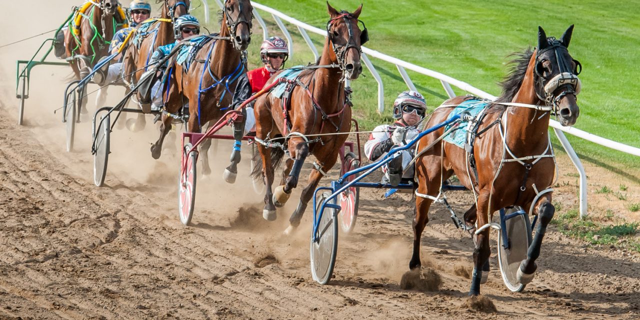 Proposal to bring large slate of harness races to Desert Park track is shot down