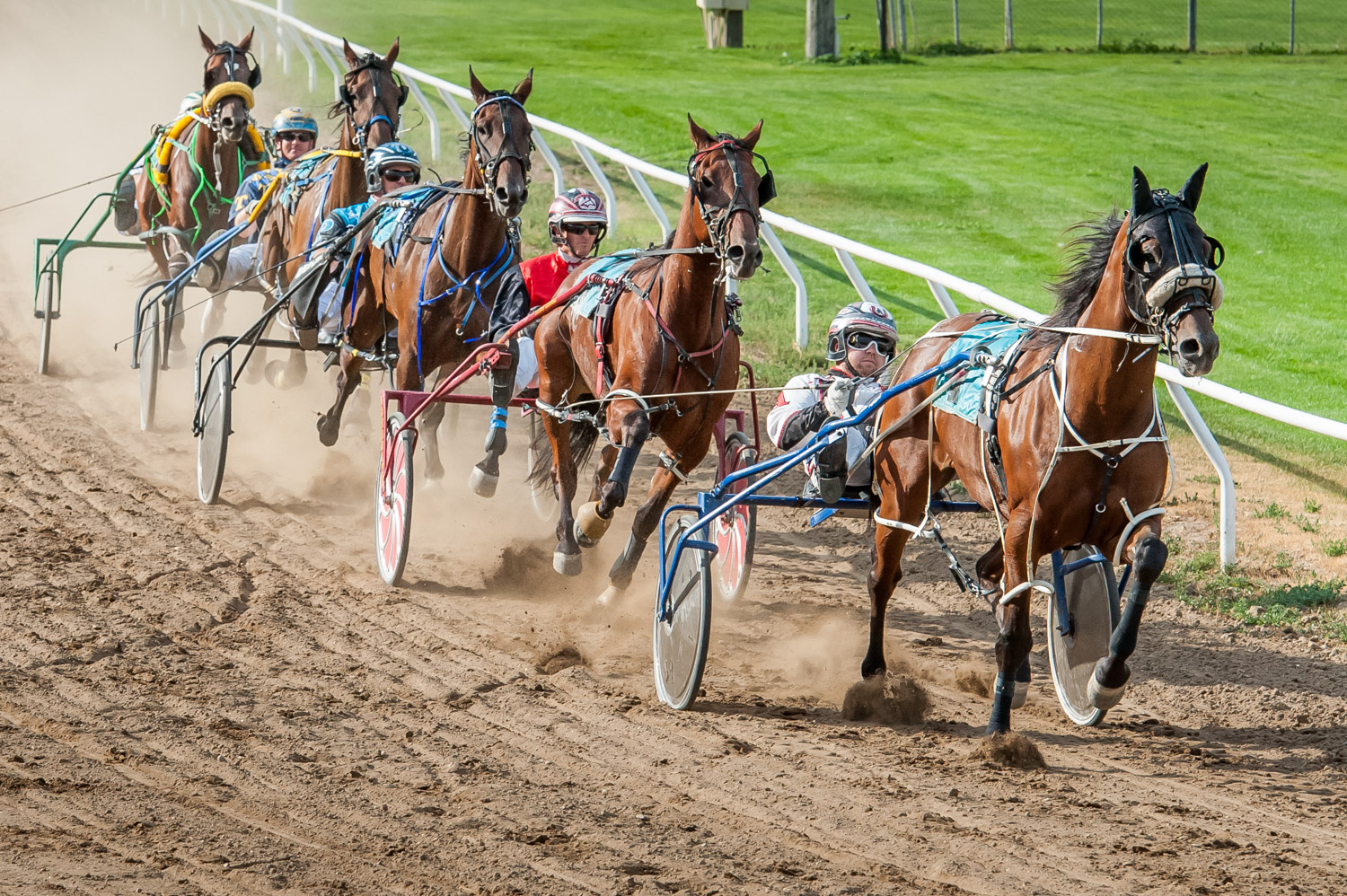 Harness racing could return here next year TimesChronicle.ca