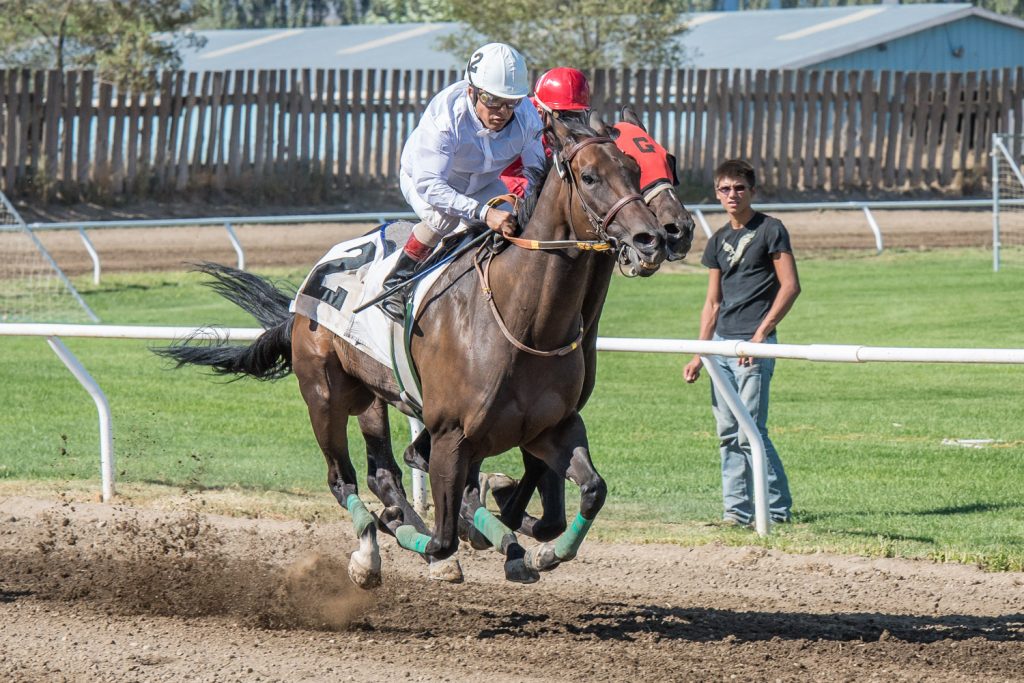 Lil Miss Bean (number 2) and Soaring Like Eagle are neck and neck as they race down the track at Desert Park in the fifth and final race on Saturday. (Richard McGuire photo)